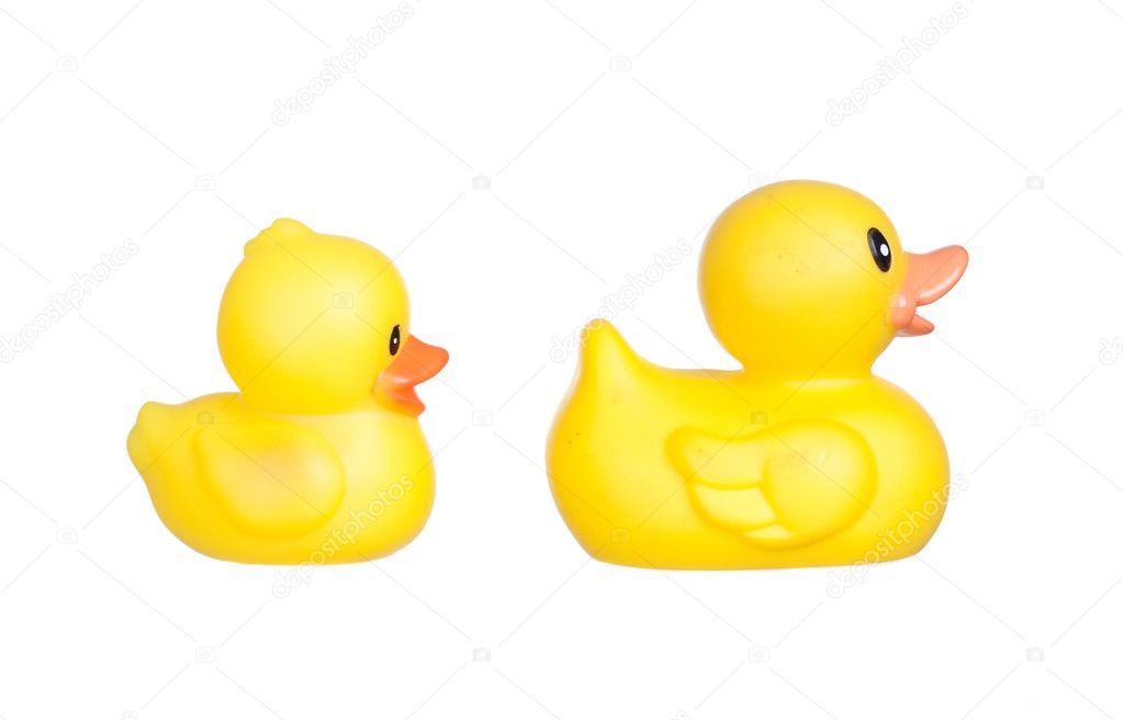 Family of yellow plastic ducks