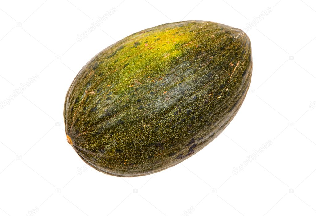 Photo of one melon