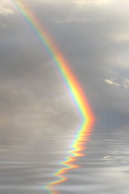 Rainbow reflected clipart