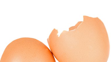 Photo of an broken egg shell clipart