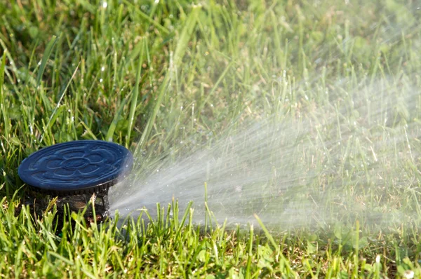 Sprinkler watering — Stock Photo, Image