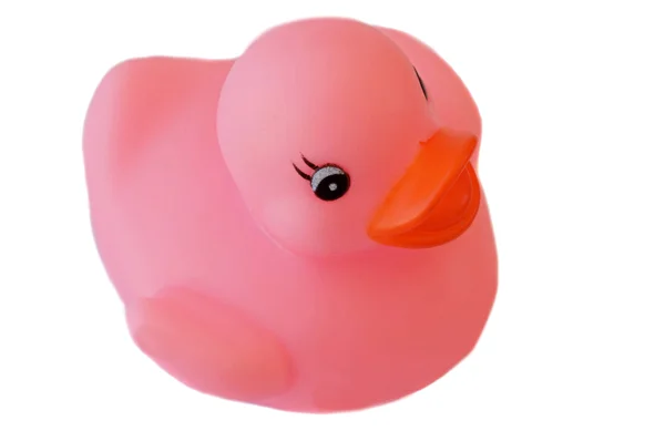 Pink plastic duck — Stock Photo, Image