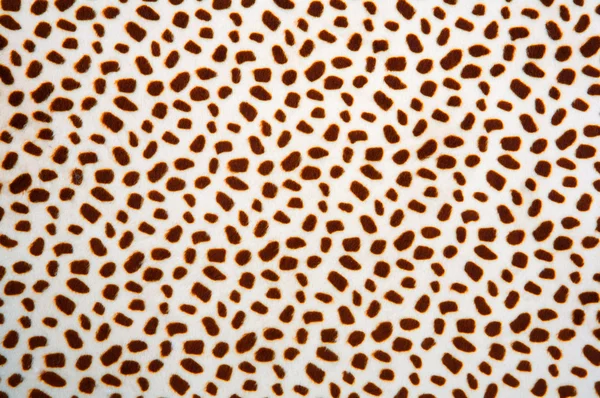 Leopardí vzor textura — Stock fotografie
