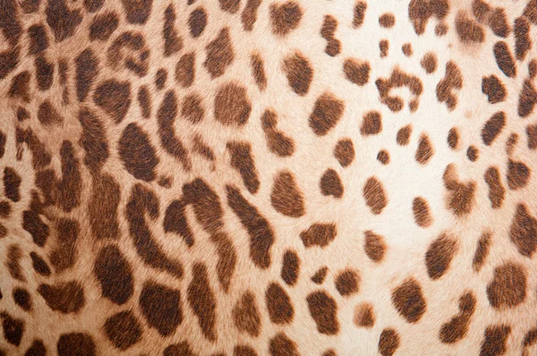 Textur mit Leopardenmuster — Stockfoto