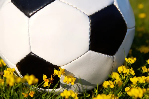 Bola de futebol — Fotografia de Stock