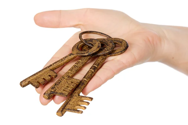 Trzy klucze w ręku — Zdjęcie stockowe