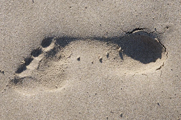 Ślad na piasku — Zdjęcie stockowe