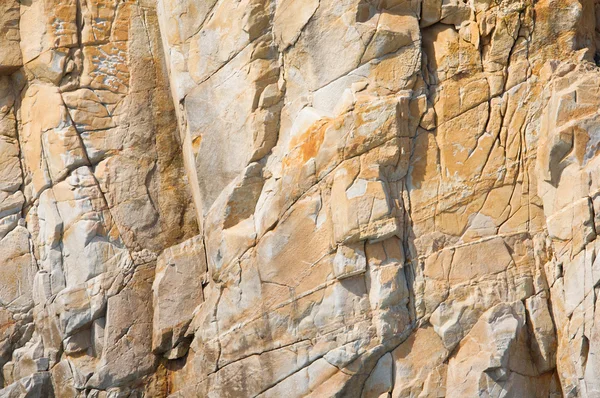 stock image Macro of a cliff wall