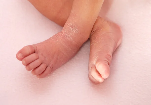 Orteils de bébé — Photo