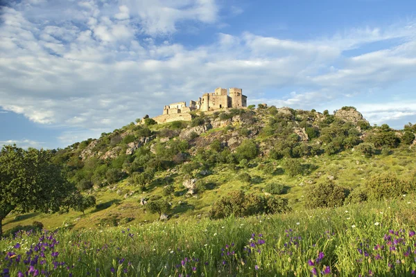 Bela paisagem com um castelo em uma colina — Fotografia de Stock