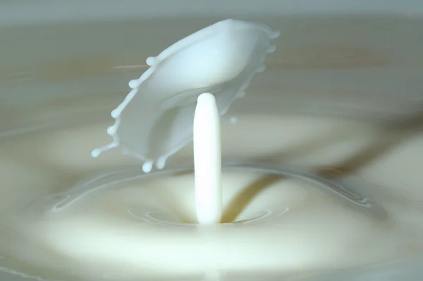 Splash in a milk glass — Stock Photo, Image