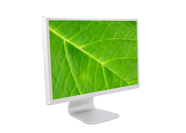 Monitor de ordenador con fondo de pantalla de hoja — Foto de Stock