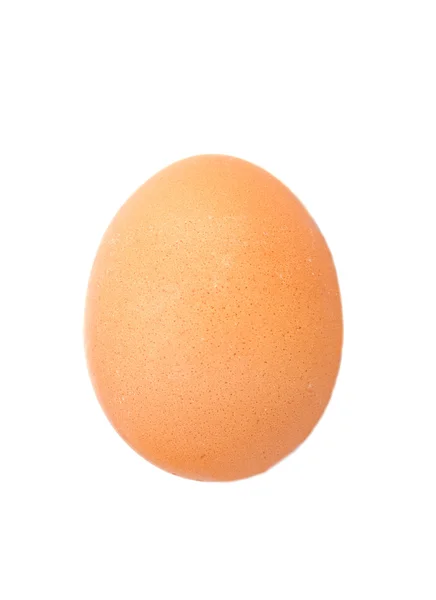Un huevo — Foto de Stock