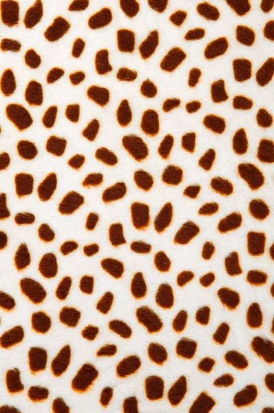Leopard mönster textur — Stockfoto