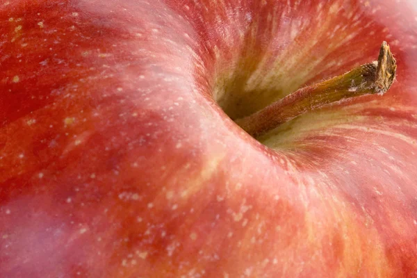 빨간 맛 있은 사과 — 스톡 사진