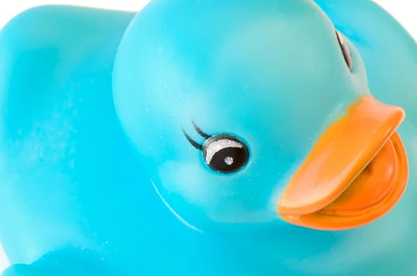 Mavi plastik ördek — Stok fotoğraf