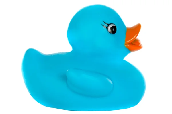 Pato de plástico azul — Fotografia de Stock
