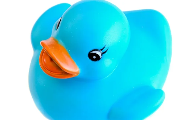 Pato de plástico azul — Fotografia de Stock