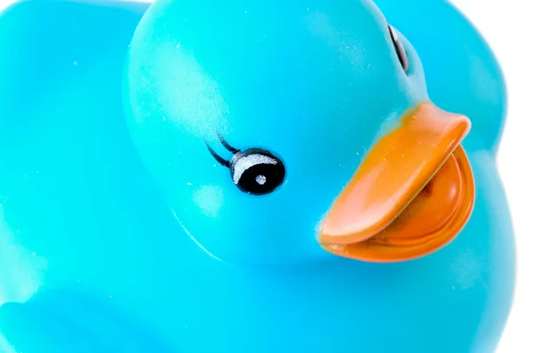 蓝色塑料鸭 — 图库照片