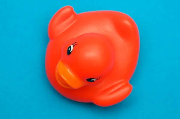 红色塑料鸭 — 图库照片
