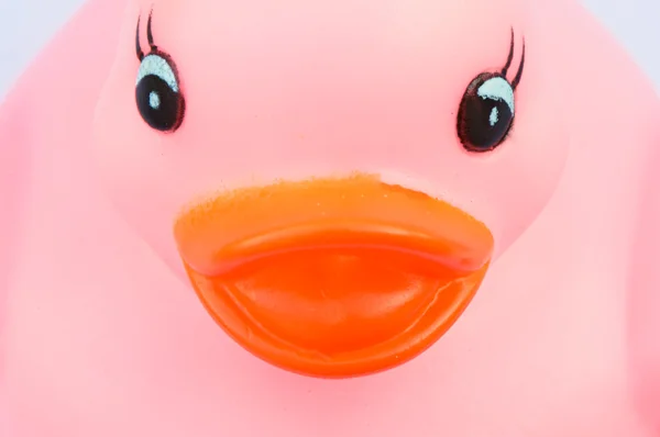 Plastic duck — Stock Photo, Image