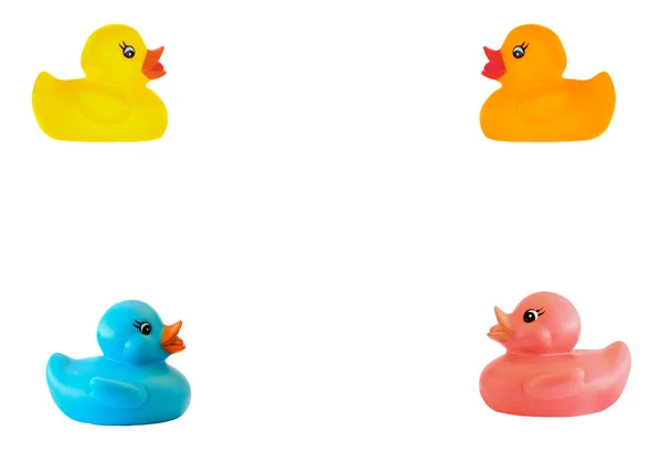 Rama cztery plastikowe kaczki — Zdjęcie stockowe