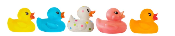 다양 한 색상의 많은 오리 장난감 — 스톡 사진