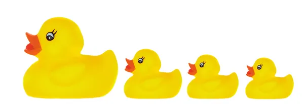 Family duck toy — Stock Photo, Image