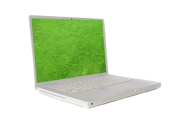 Laptop with the image of a green grass — Zdjęcie stockowe