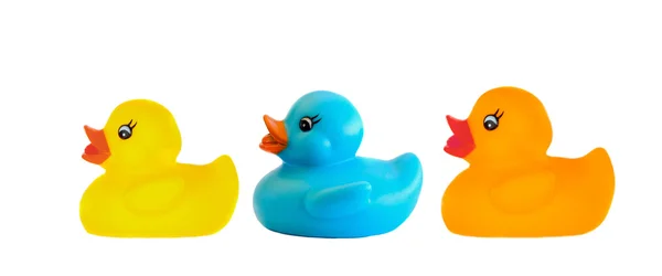 Três patos brinquedo de cores diferentes — Fotografia de Stock