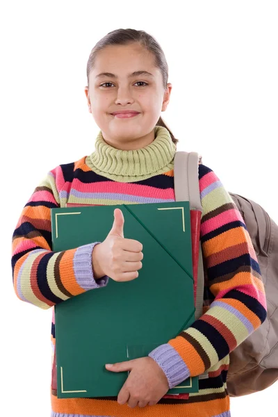 Kız öğrenci ile klasör ve sırt çantası — Stok fotoğraf
