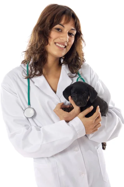 Attraktiv dam veterinär — Stockfoto