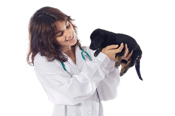 Attractive lady veterinarian — Stock Photo, Image
