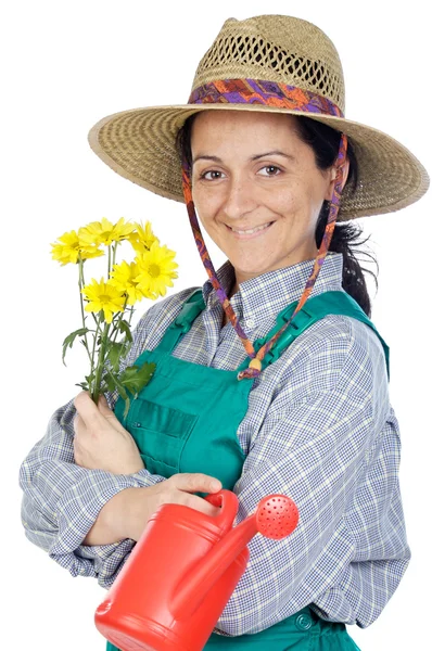 Садівник жінка — стокове фото