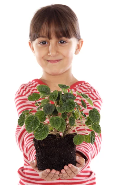 与植物的女孩 — 图库照片