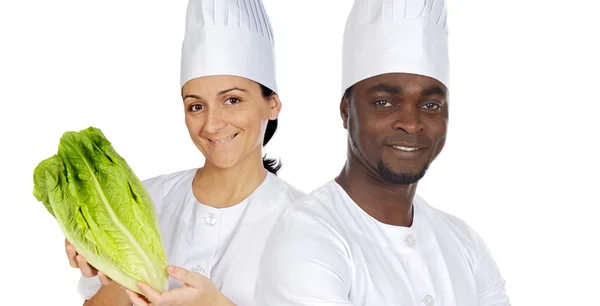 Team of kitchen — Stock Photo, Image