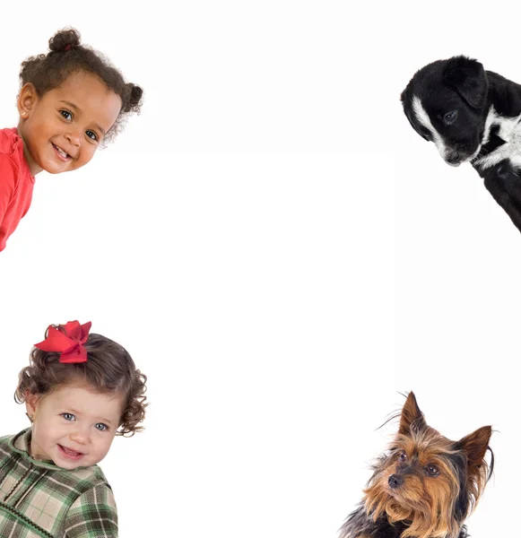 Vier kleine lustige: zwei kleine Mädchen und zwei Welpen — Stockfoto