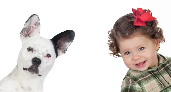 Güzel kız bebek ve komik köpek — Stok fotoğraf