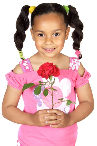 女孩惠特一个玫瑰 — 图库照片