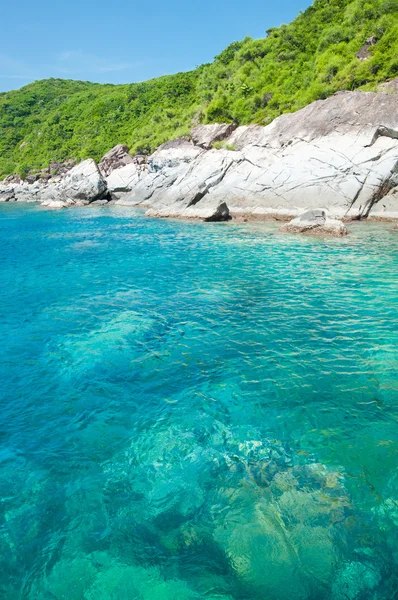 stock image Tropical Scenery