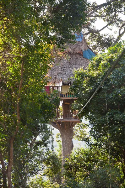 Haus auf dem Baum — Stockfoto