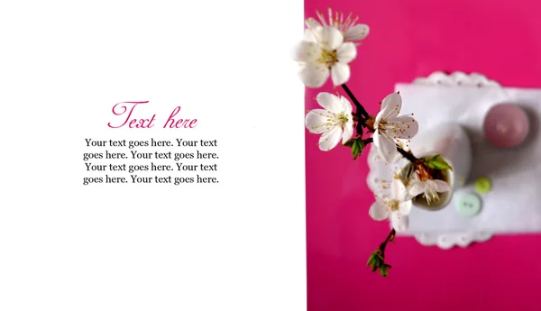 Cartão com flor de primavera em vaso — Fotografia de Stock