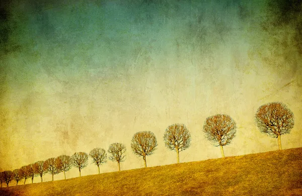 Grunge image of trees