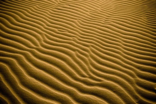 Highly detailed texture of sand dunes