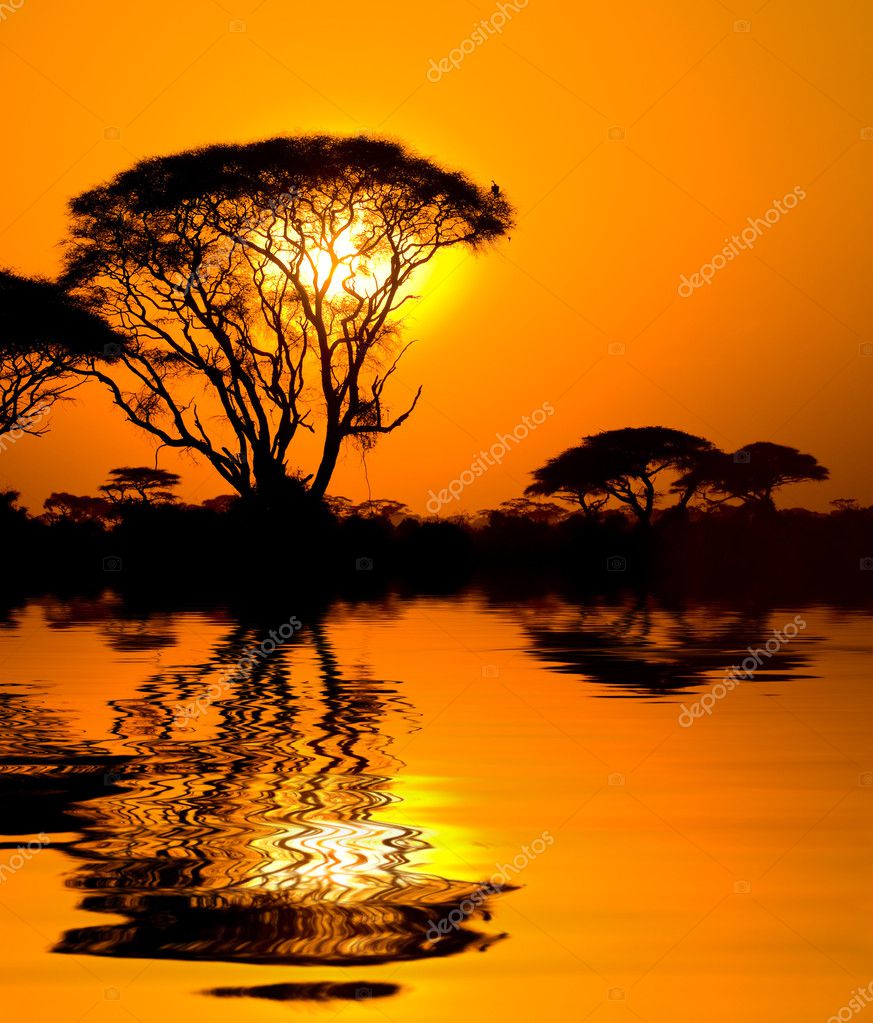 Coucher De Soleil Africain Avec Réflexion Photographie