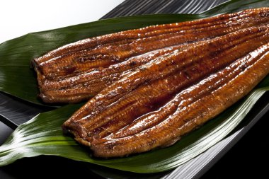 Eel ( unagi )