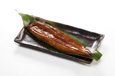 Eel ( unagi )