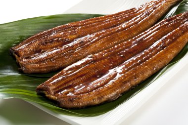 Eel ( unagi )