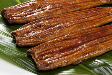 Eel ( unagi )