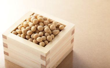 Soy bean clipart